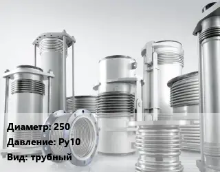 Компенсатор 250 Ру10 трубный